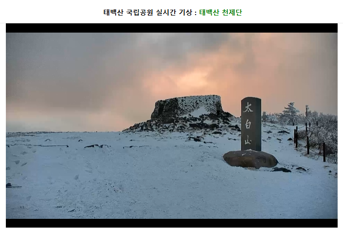 태백산 국립공원 실시간 CCTV 확인 방법 및 등산 시 유의사항 꿀팁 총정리