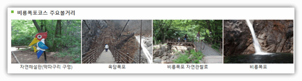 탐방 코스의 매력