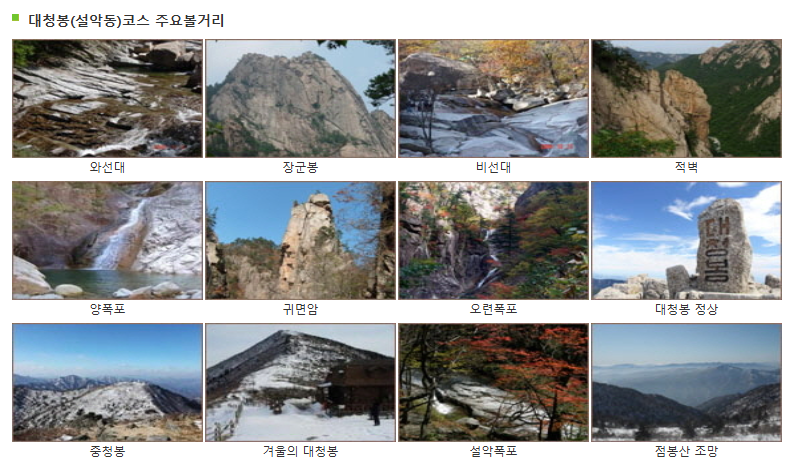 주요 볼거리 정리