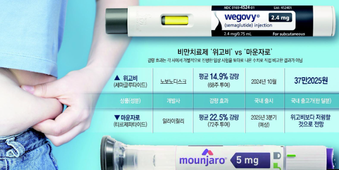 마운자로 위고비 지방효과 어떤게 좋을까?? 추천가이드